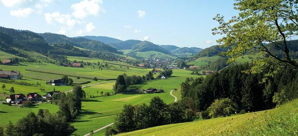 Gasthaus Zum Wilden Mann Welschensteinach 외부 사진