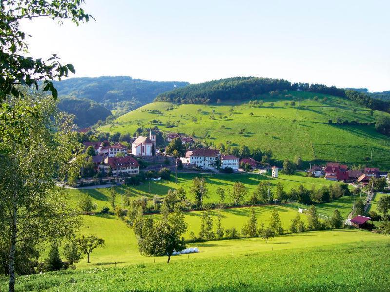 Gasthaus Zum Wilden Mann Welschensteinach 외부 사진
